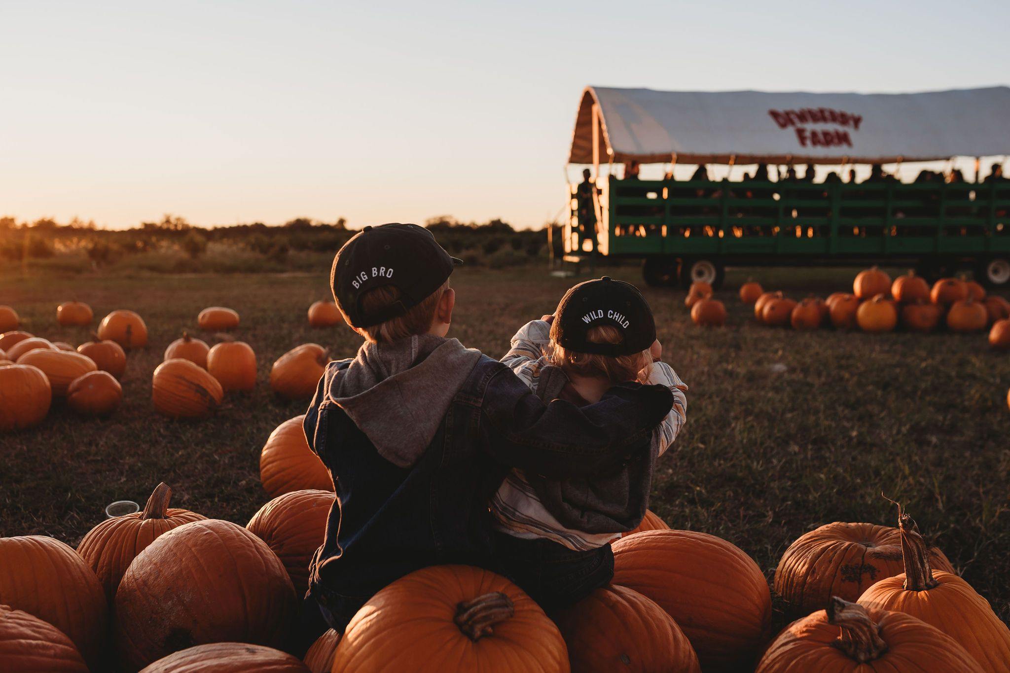 Halloween Inspiration - Rey to Z