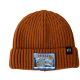 Chicago Beanie