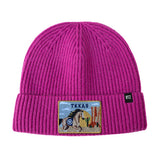 Texas Beanie