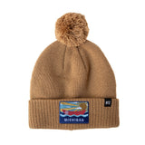 Michigan Pom Pom Hat