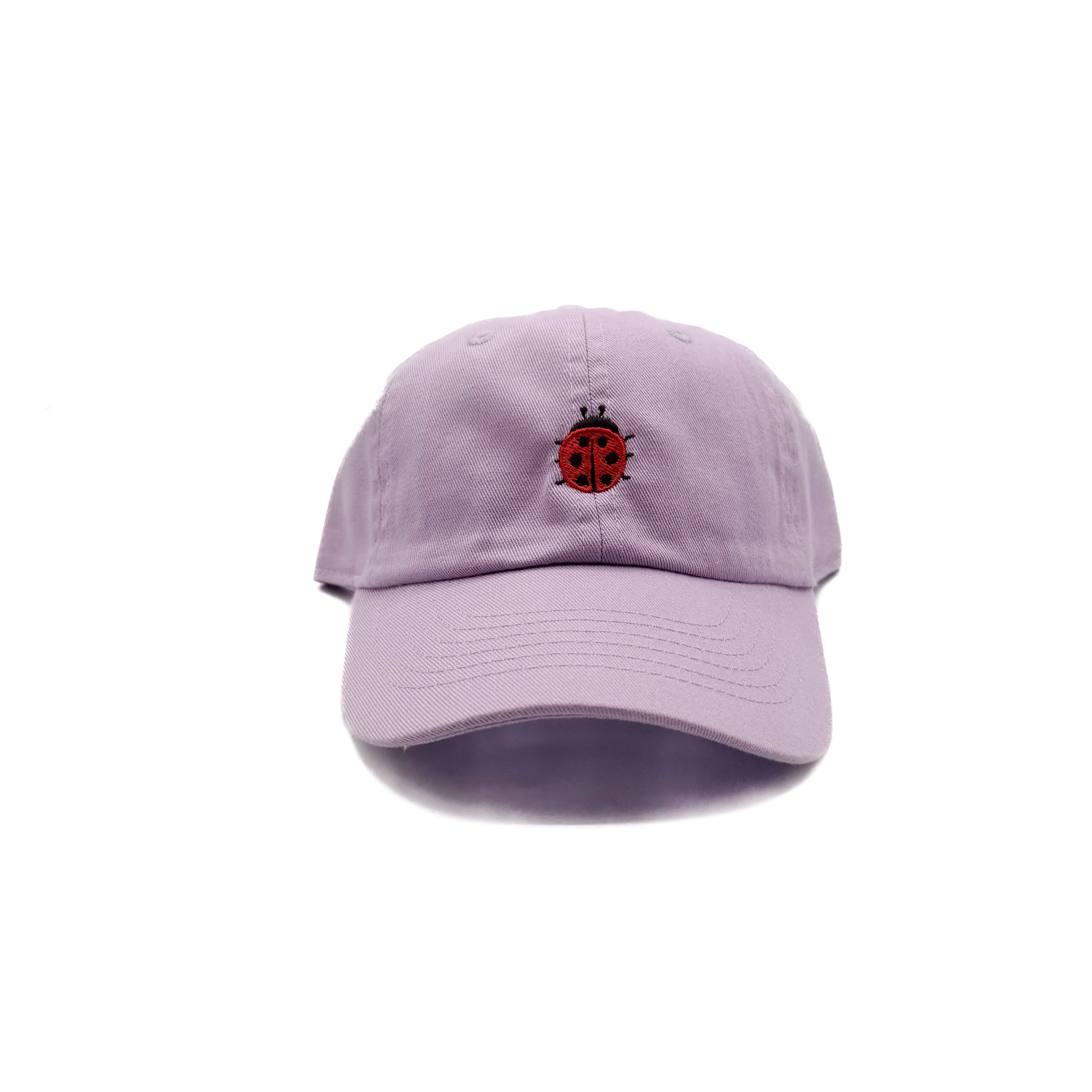 Tiny Ladybug Baseball Hat