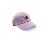Tiny Ladybug Baseball Hat